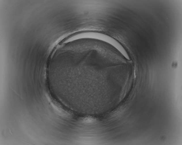 X0000112150348200908281345