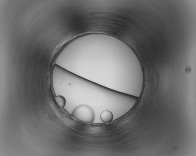 X0000112150349200908281345