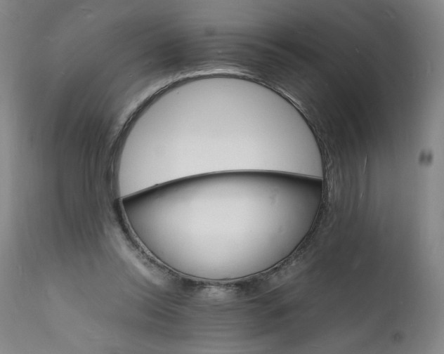 X0000112150350200908281345