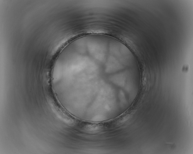 X0000112150351200908281345