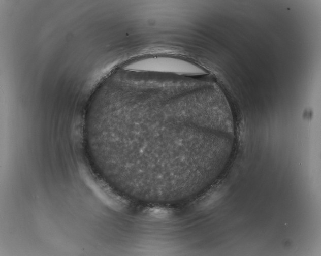 X0000112150352200908281345