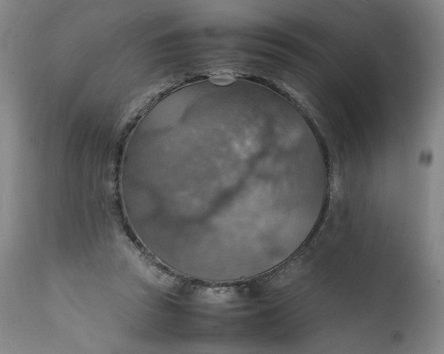 X0000112150353200908281345