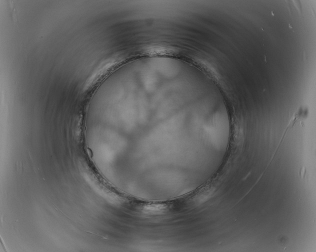 X0000112150357200908281345