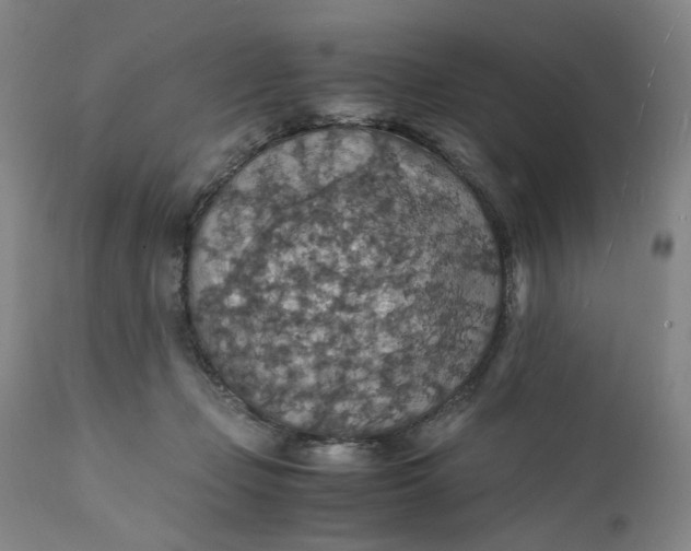 X0000112150365200908281345