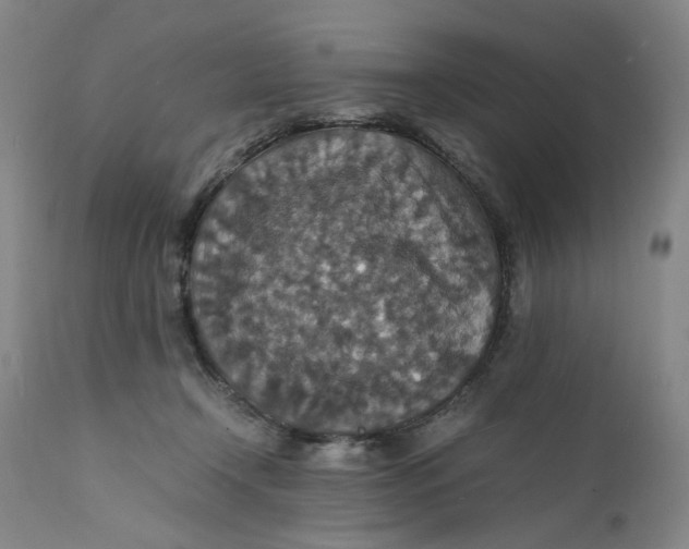 X0000112150366200908281345