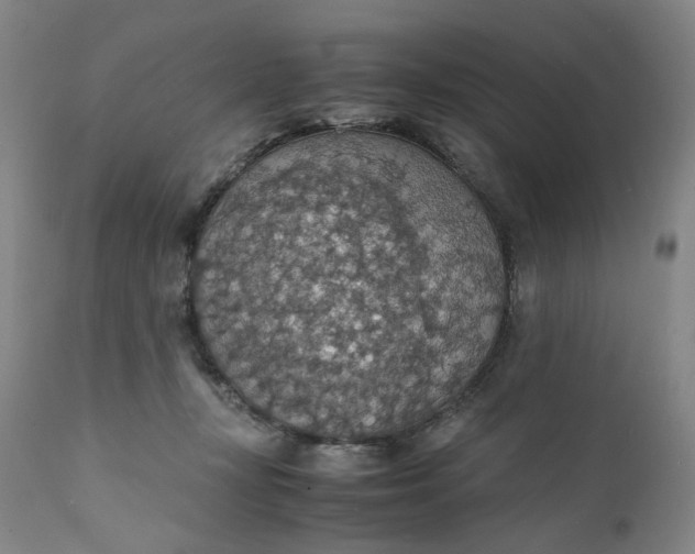 X0000112150367200908281345