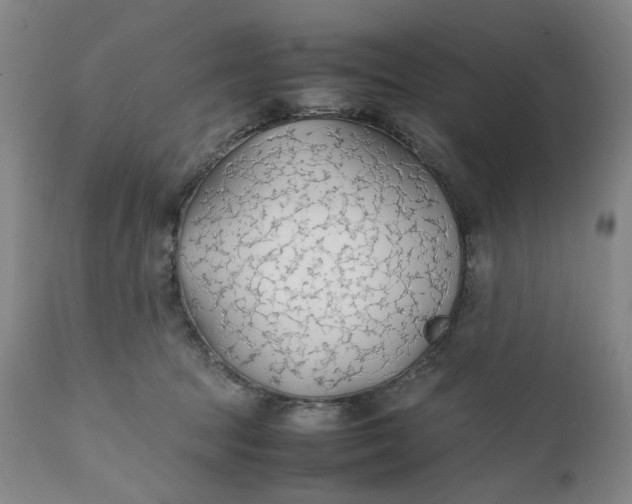 X0000112150369200908281346