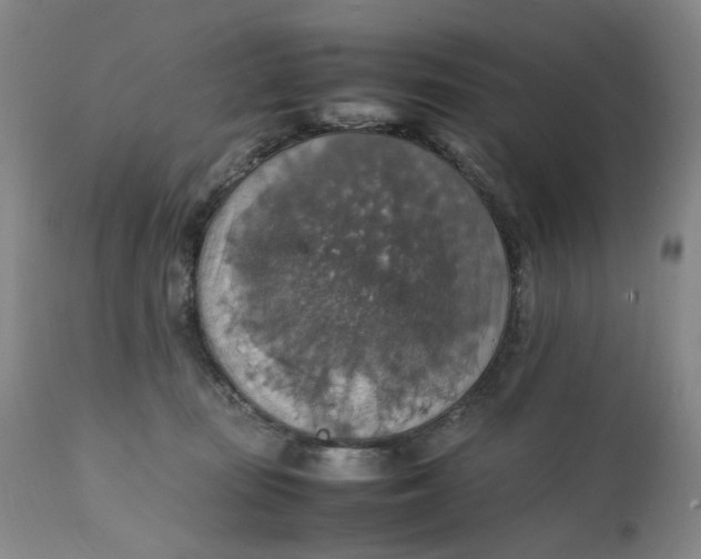 X0000112150371200908281346