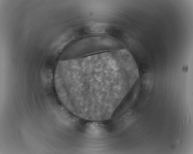 X0000112150372200908281346