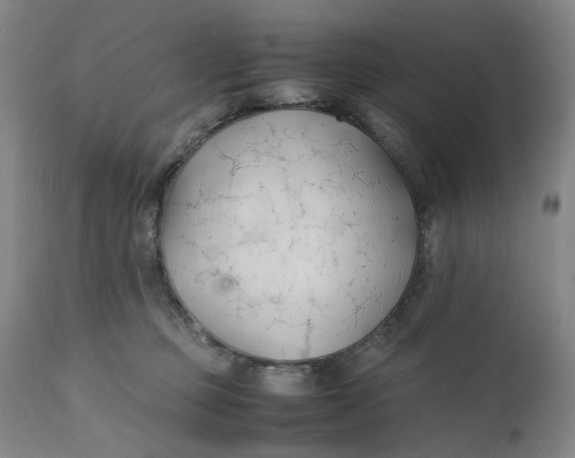 X0000112150373200908281346