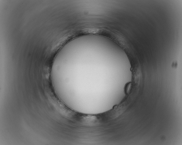 X0000112150374200908281346