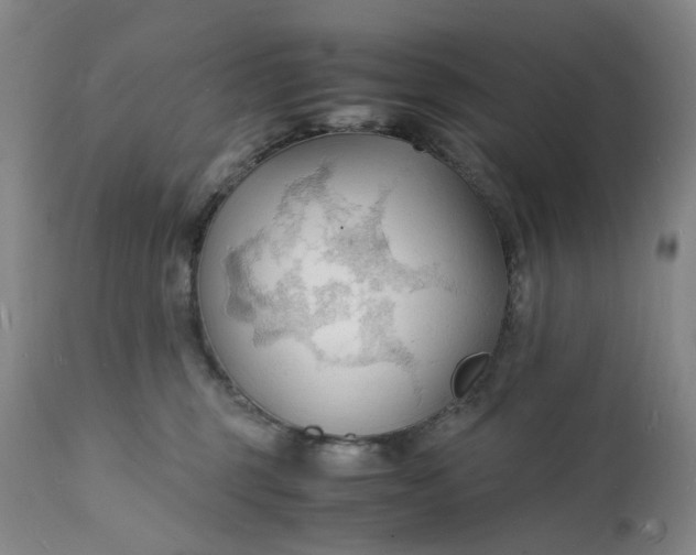 X0000112150375200908281346