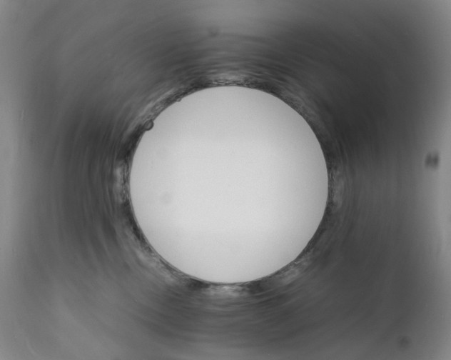 X0000112150378200908281346