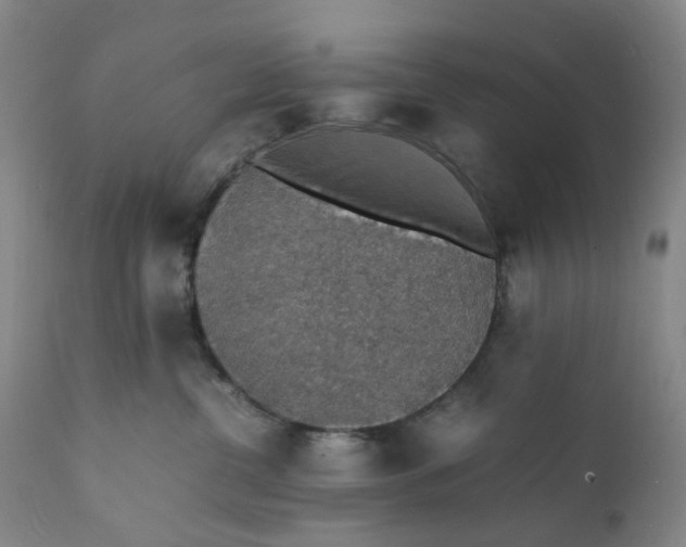 X0000112150380200908281346