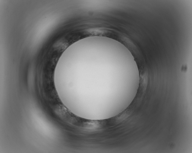 X0000112150381200908281346