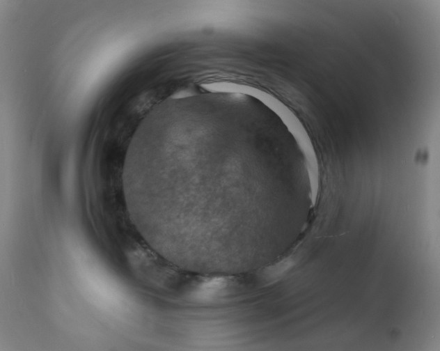 X0000112150382200908281346