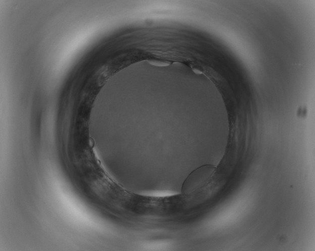 X0000112150383200908281346