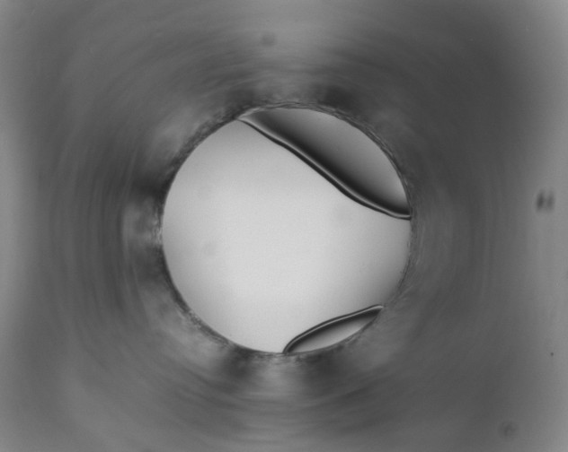 X0000112150384200908281346