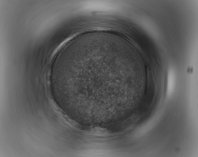 X0000112150387200908281345