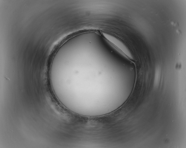 X0000112150388200908281345