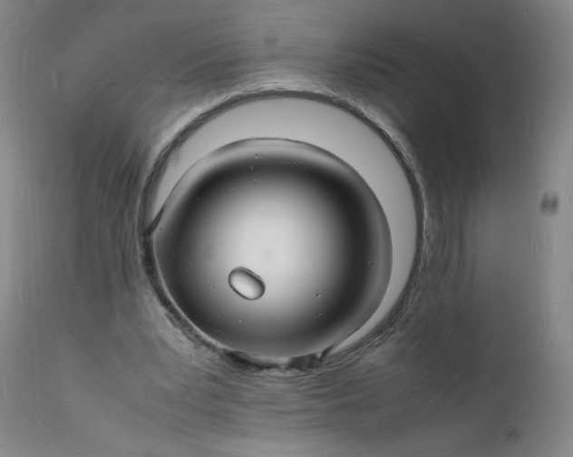 X0000112150391200908281345