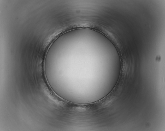 X0000112150394200908281345