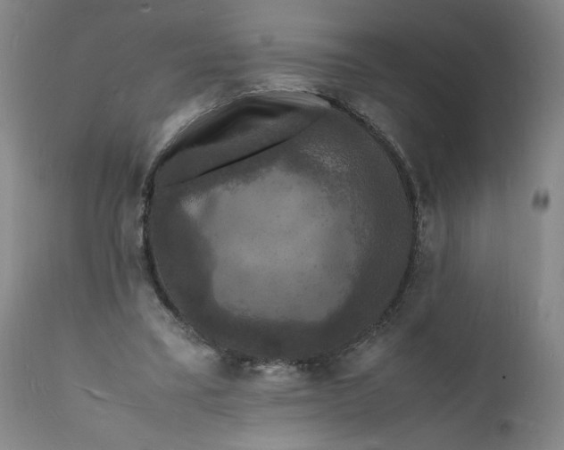 X0000112150395200908281345