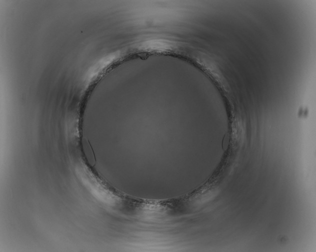 X0000112150399200908281345