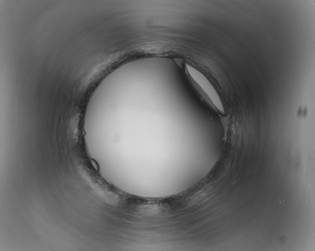 X0000112150404200908281345