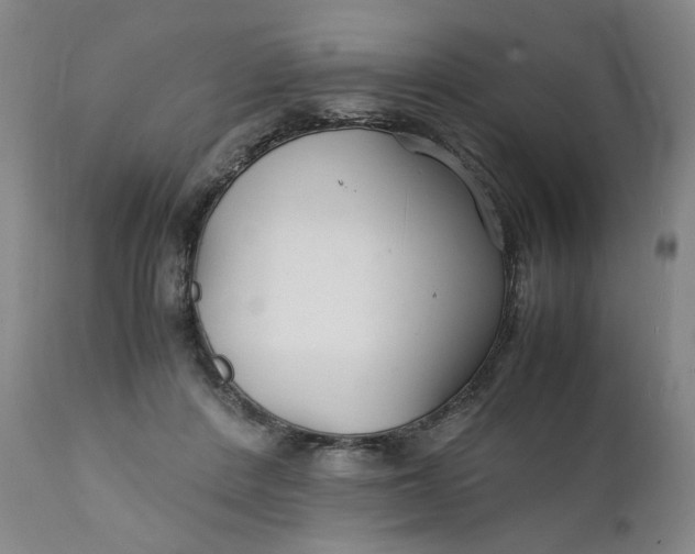 X0000112150408200908281345