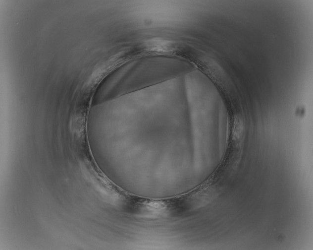 X0000112150409200908281345