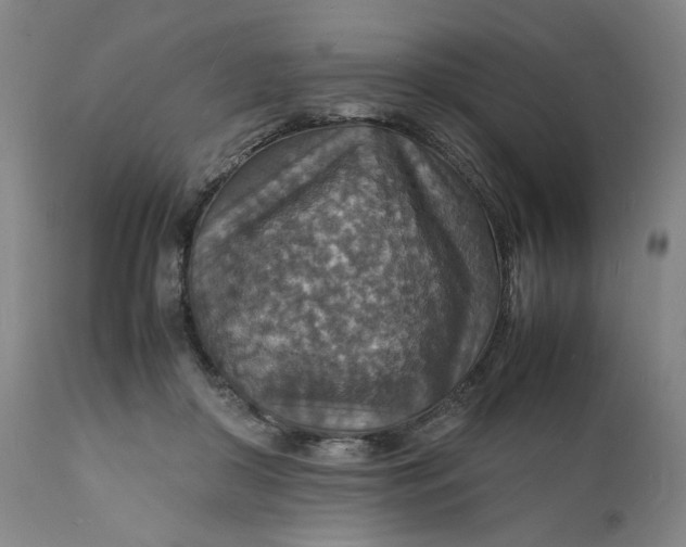 X0000112150410200908281345