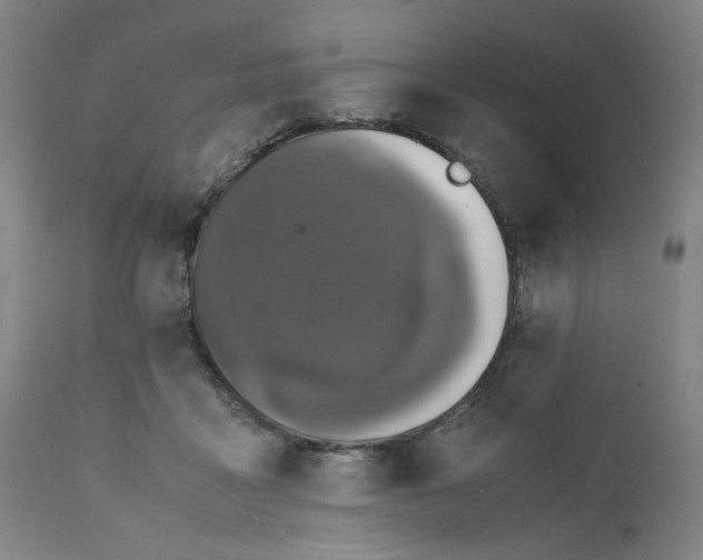 X0000112150411200908281345