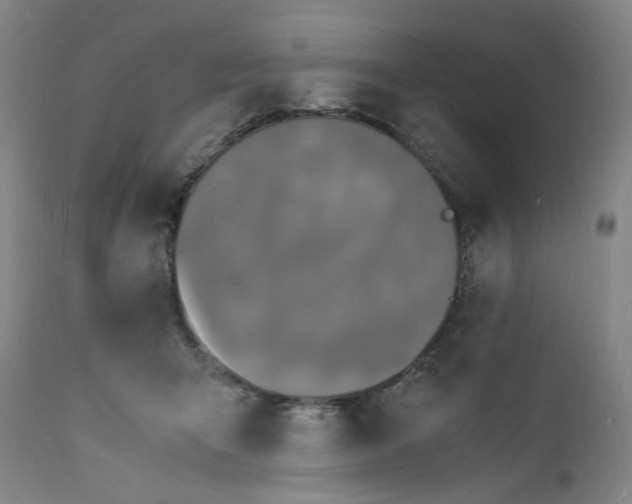 X0000112150415200908281344