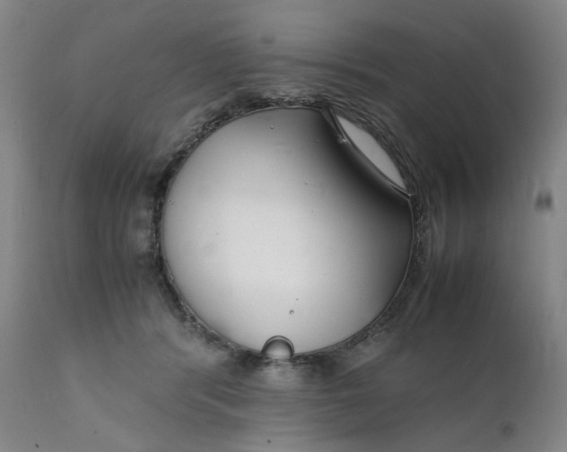 X0000112150416200908281344