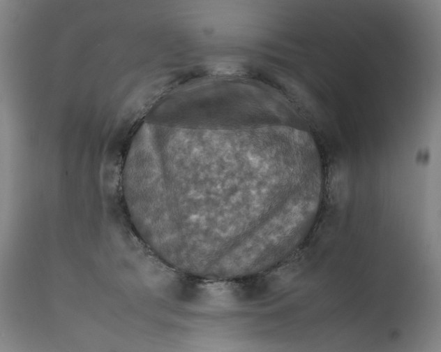X0000112150417200908281344