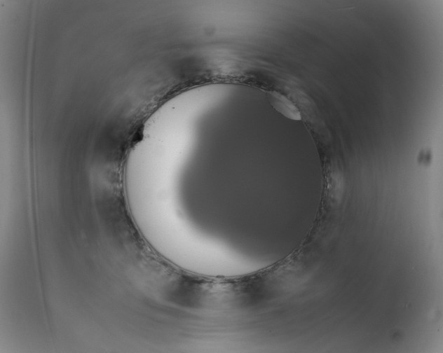 X0000112150419200908281344