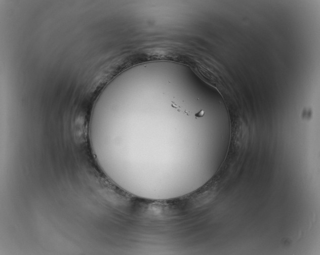 X0000112150420200908281344