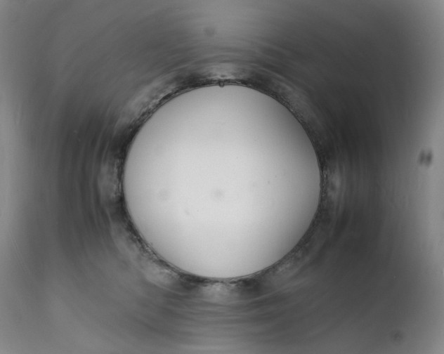 X0000112150422200908281344