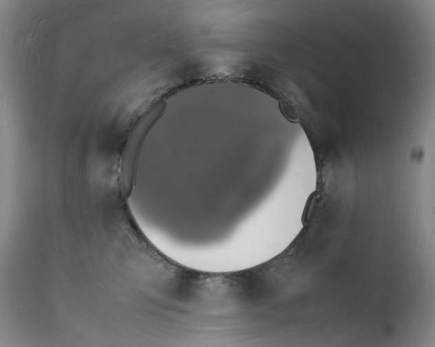 X0000112150423200908281344