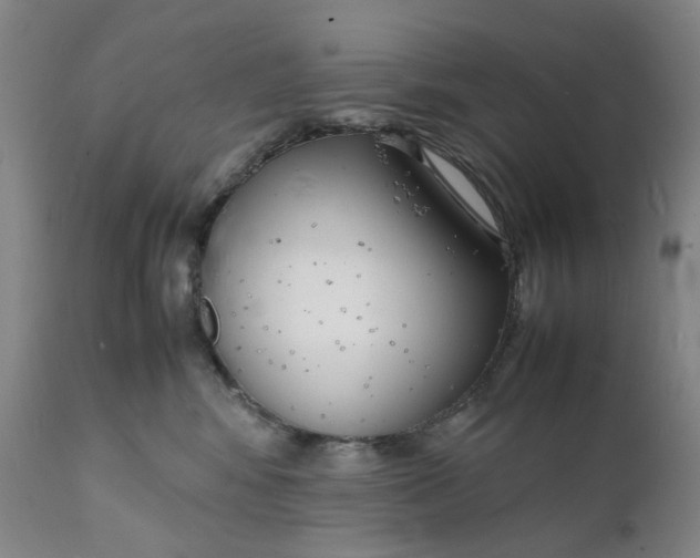 X0000112150424200908281344