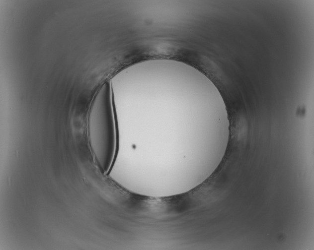 X0000112150425200908281344