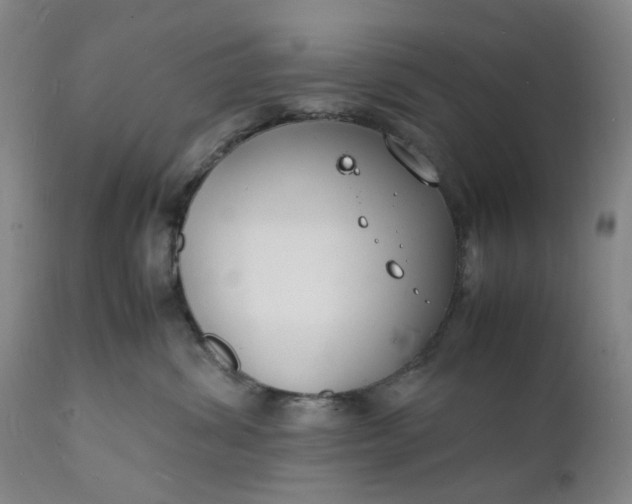X0000112150428200908281344