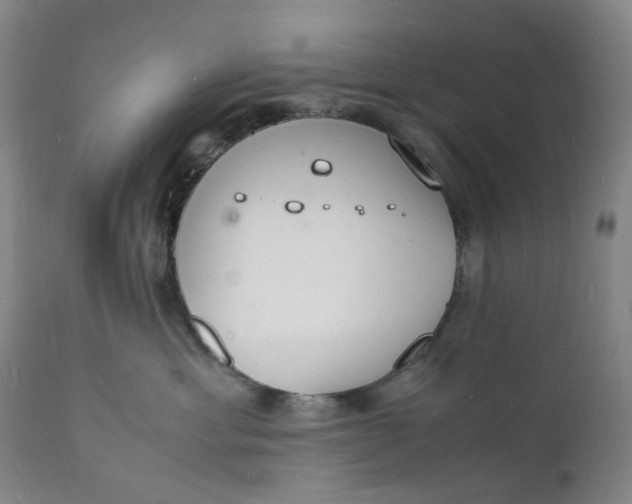 X0000112150429200908281344