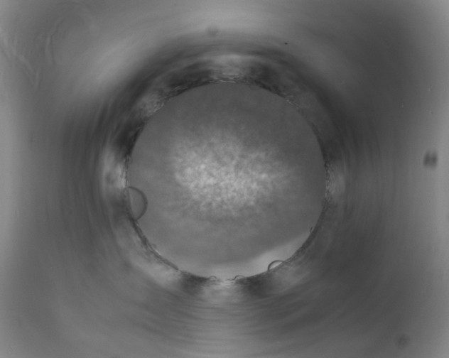X0000112150431200908281344