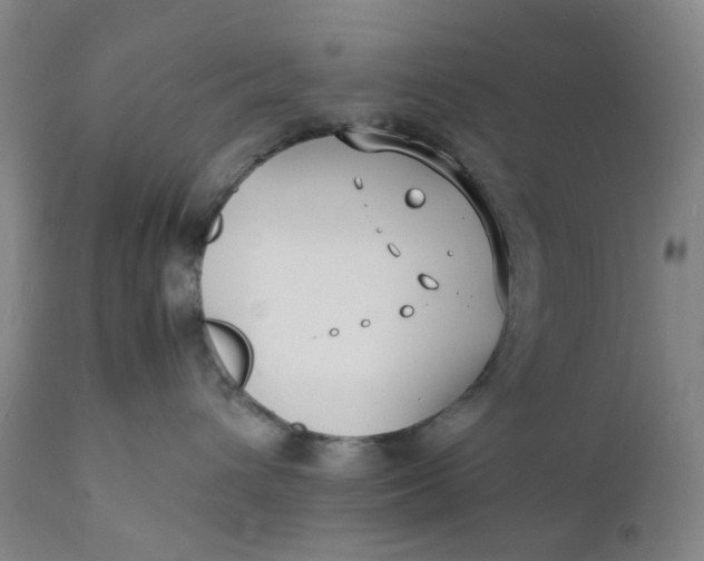 X0000112150432200908281344