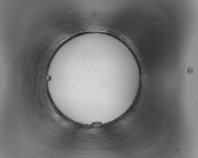 X0000112150433200908281343