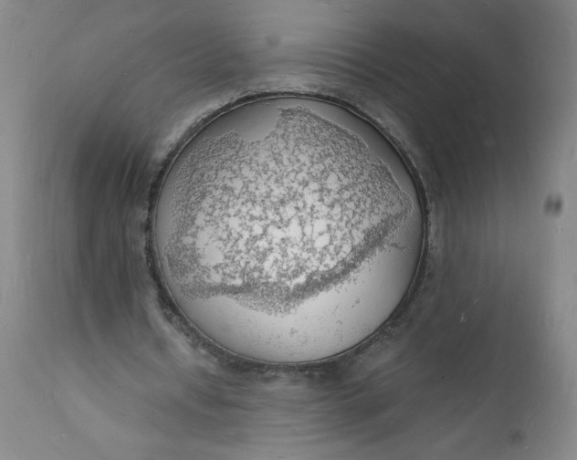 X0000112150434200908281344