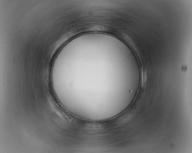 X0000112150435200908281344