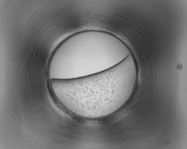 X0000112150438200908281344